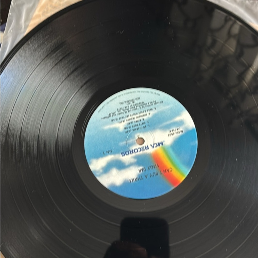 Steely Dan vinyl great shape sold as is